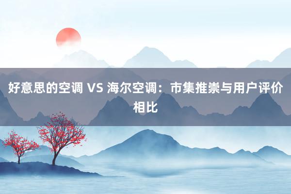 好意思的空调 VS 海尔空调：市集推崇与用户评价相比